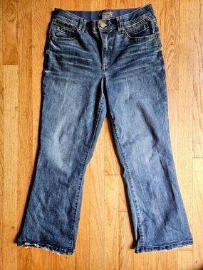 Democracy Ab Tech Blue Faded and Frayed Jeans